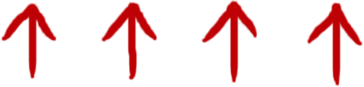 Revitaa Pro